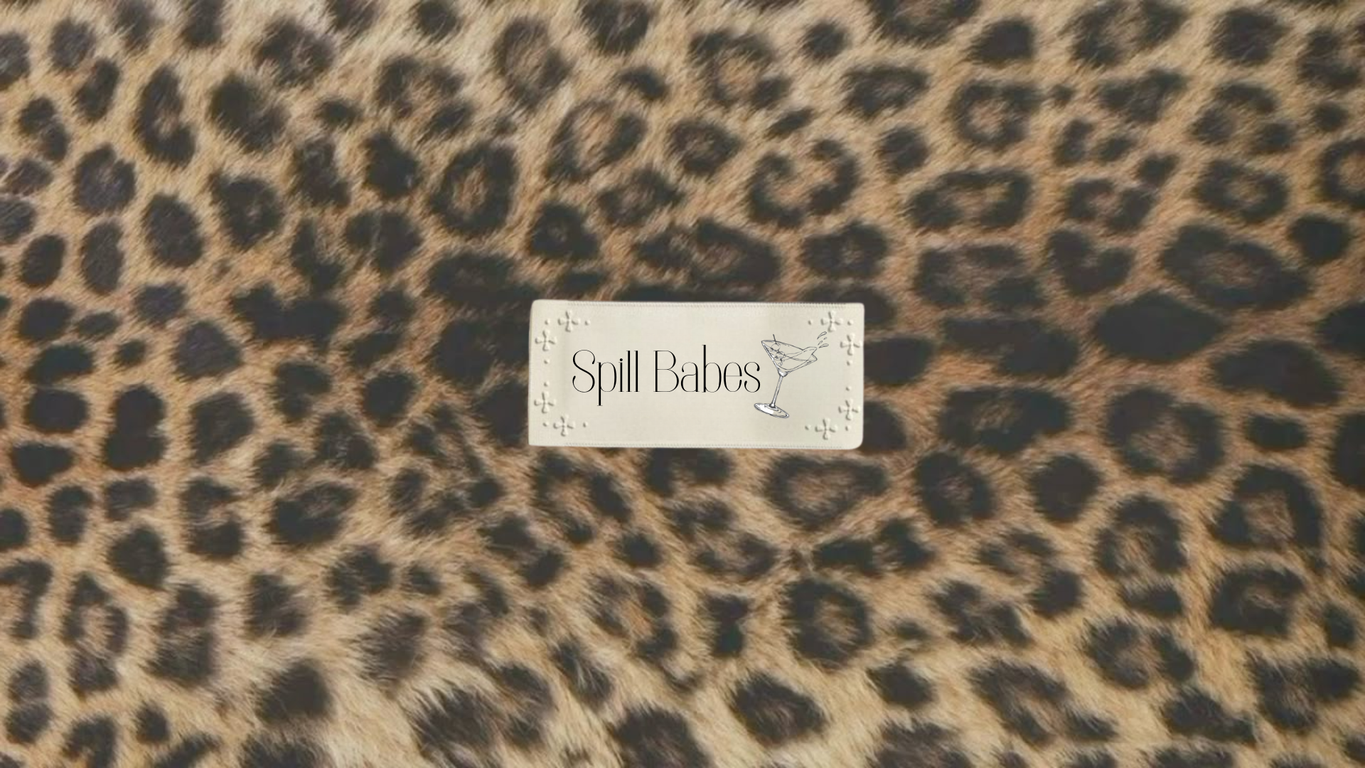 So I Never Introduced Myself